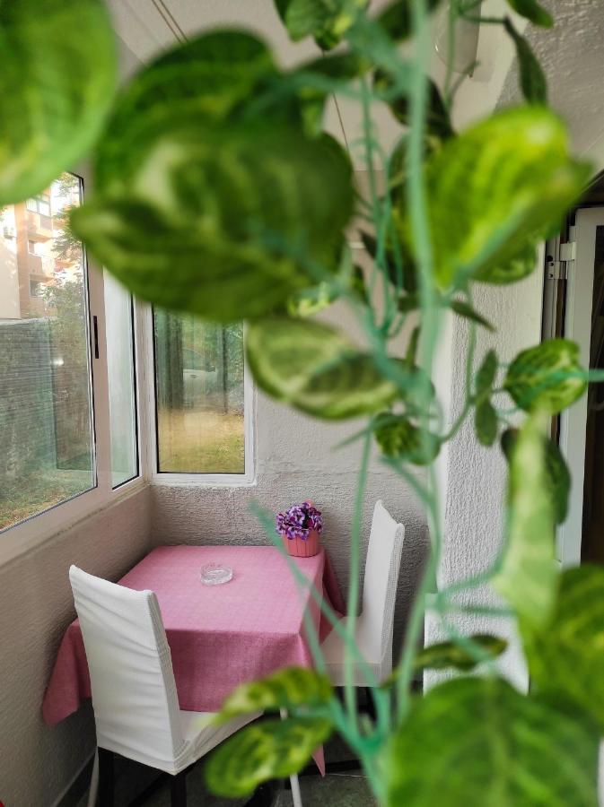 Apartment Sanja Pazin Ngoại thất bức ảnh